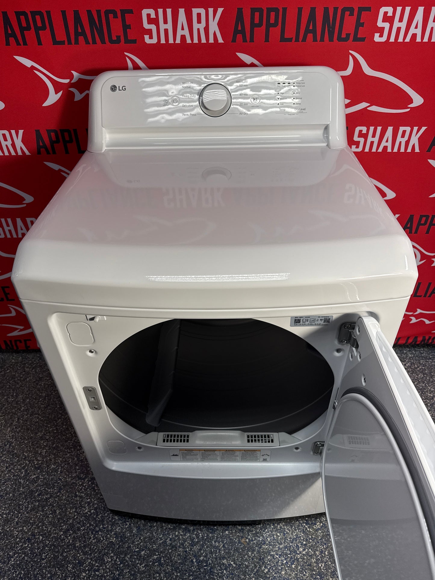 LG 7.3 cu ft Electric Dryer – DLE6100W