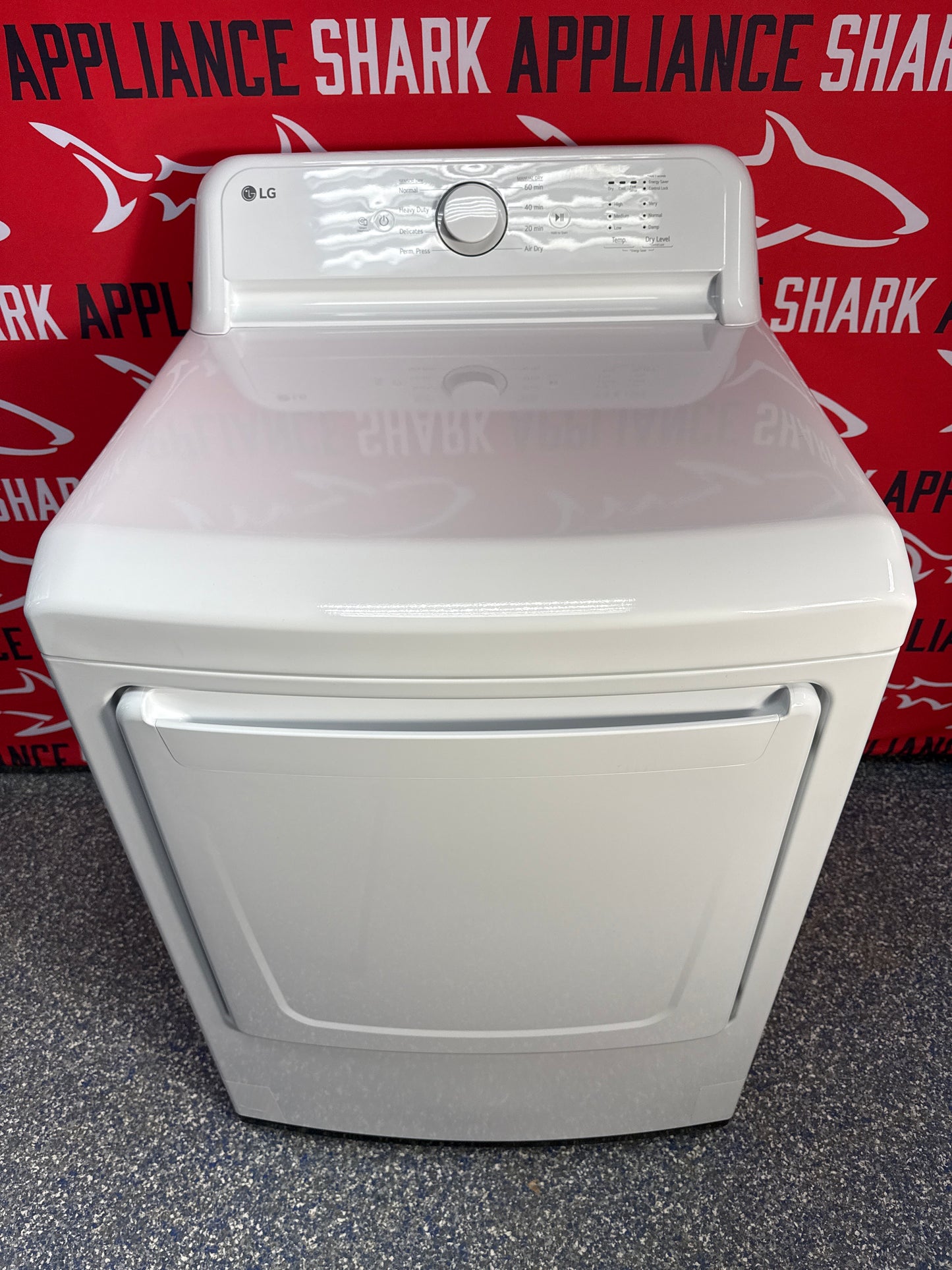 LG 7.3 cu ft Electric Dryer – DLE6100W